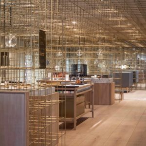 Латунные сварные прутья в Sublisha Flagship Beauty / Spa Латунные сварные прутья в Sublisha Flagship Beauty / Spa
